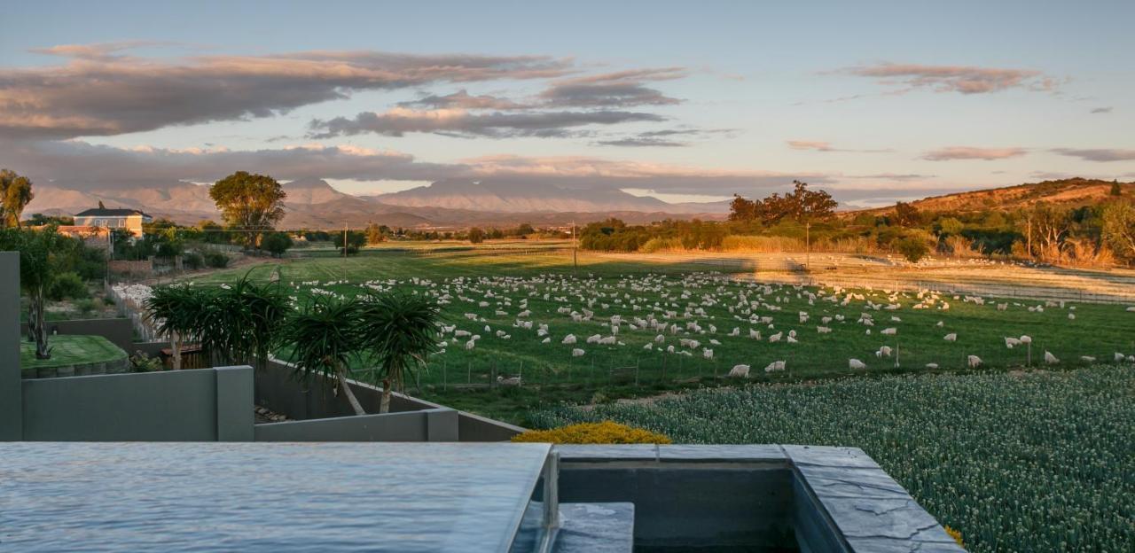 Sonas Boutique Guest House Oudtshoorn Extérieur photo